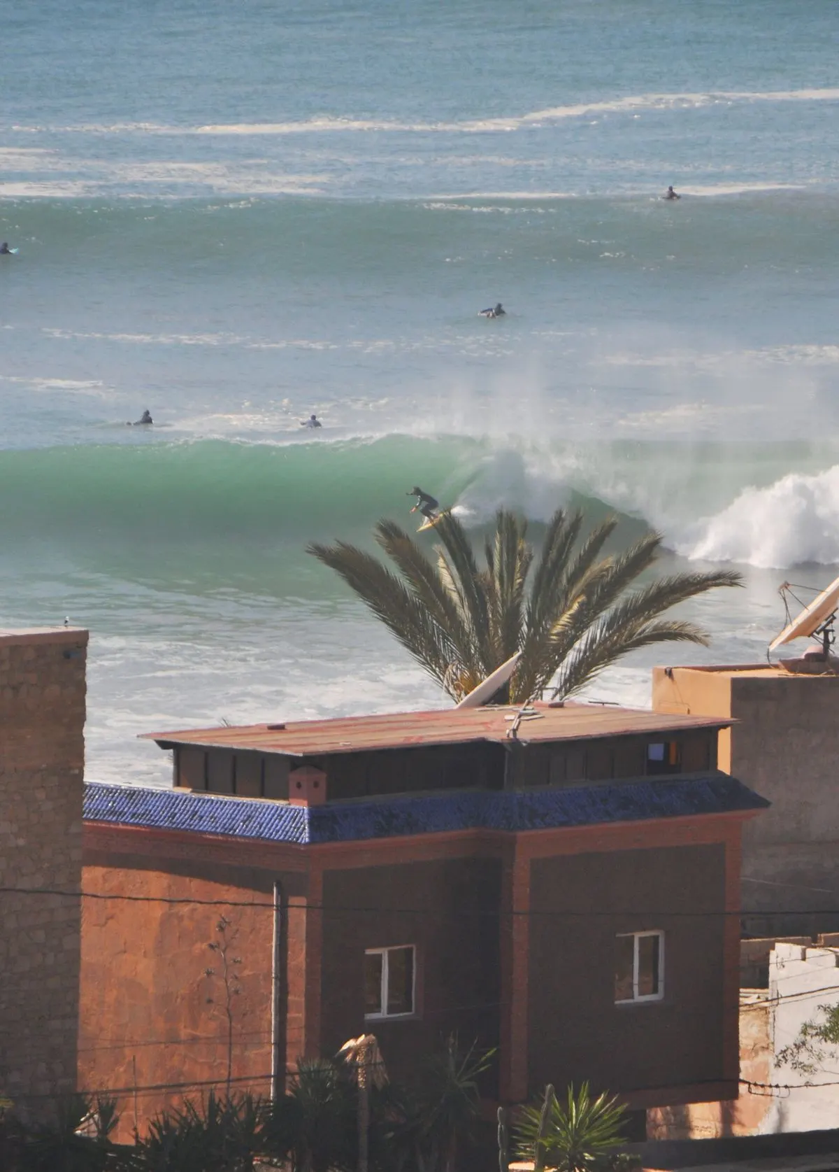Wave Rider Classic